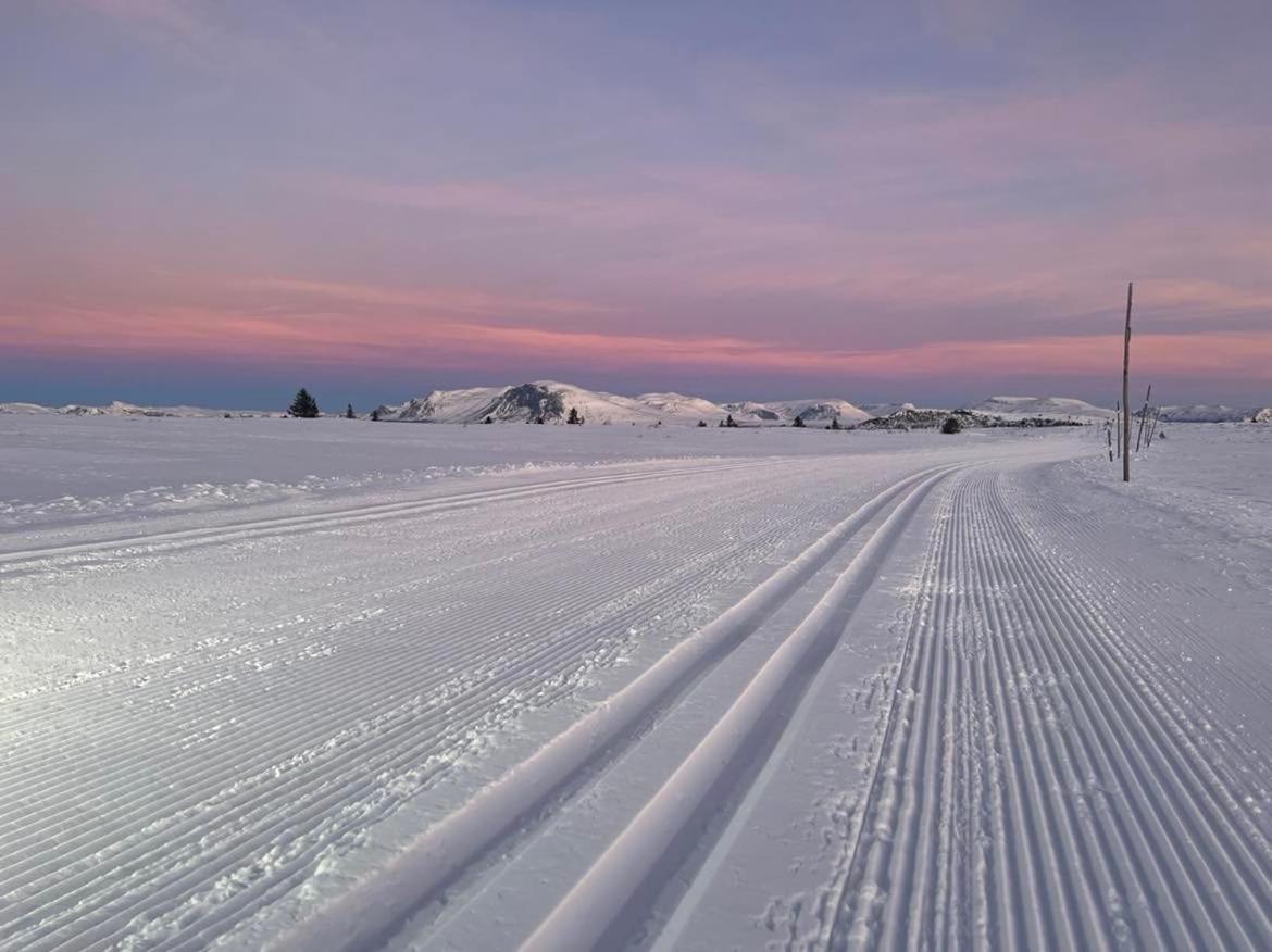 Golsfjellet - Bualie, Milevis Med Sykkelveier, Fiske Og Vannaktivitet, Ski Inn/Ut Til Alpinanlegg Og Langrennsloyper. Εξωτερικό φωτογραφία