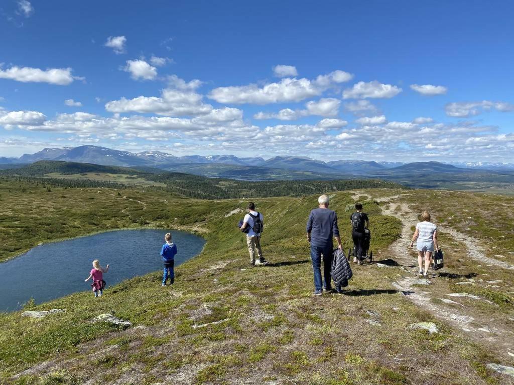 Golsfjellet - Bualie, Milevis Med Sykkelveier, Fiske Og Vannaktivitet, Ski Inn/Ut Til Alpinanlegg Og Langrennsloyper. Εξωτερικό φωτογραφία