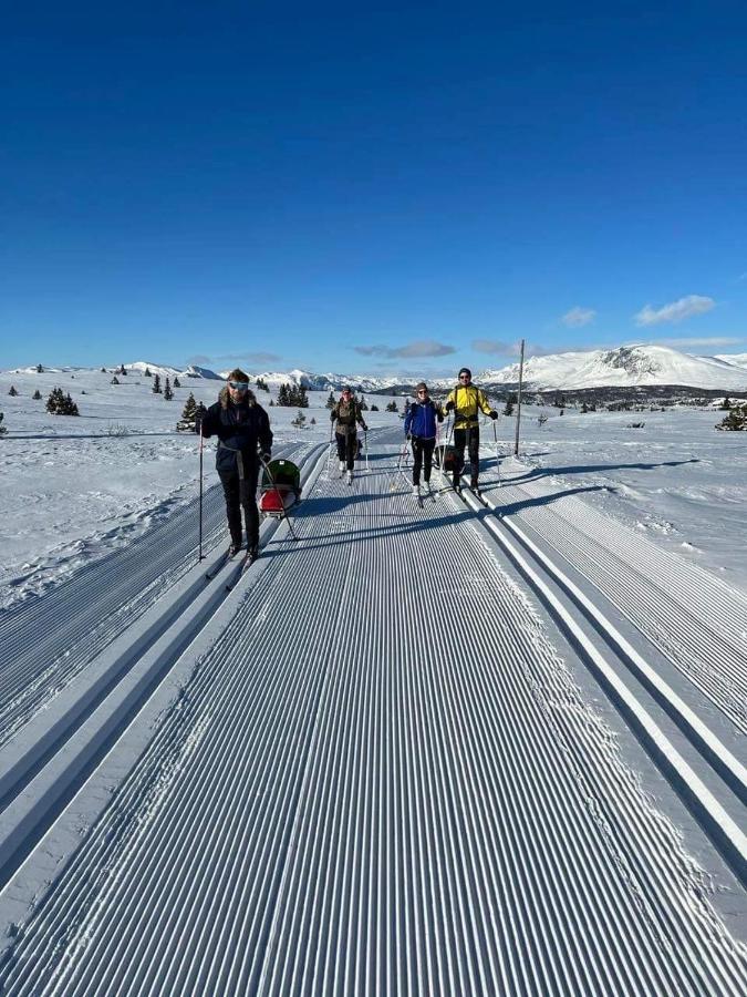 Golsfjellet - Bualie, Milevis Med Sykkelveier, Fiske Og Vannaktivitet, Ski Inn/Ut Til Alpinanlegg Og Langrennsloyper. Εξωτερικό φωτογραφία
