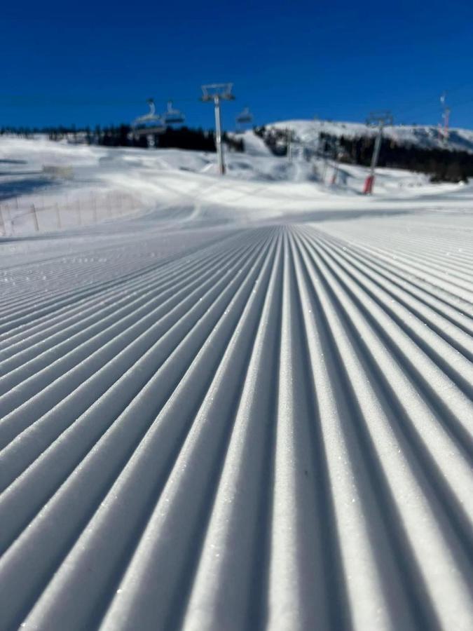 Golsfjellet - Bualie, Milevis Med Sykkelveier, Fiske Og Vannaktivitet, Ski Inn/Ut Til Alpinanlegg Og Langrennsloyper. Εξωτερικό φωτογραφία