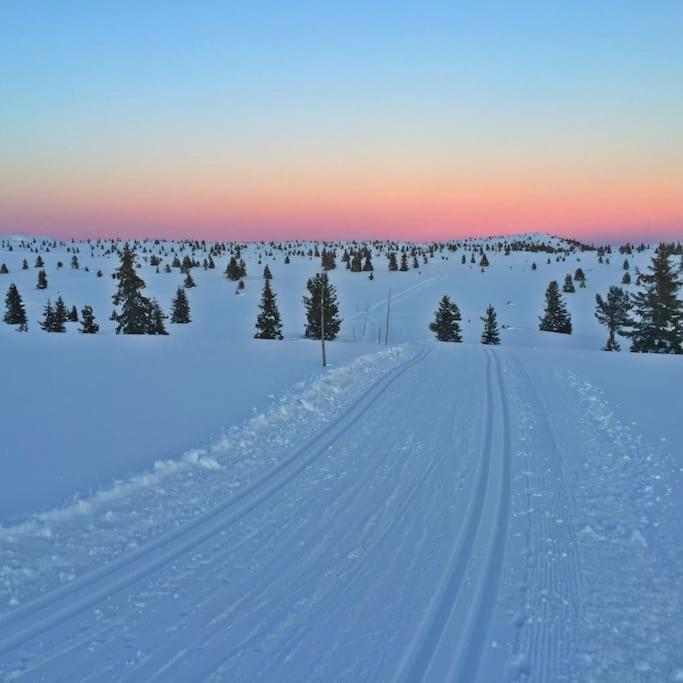 Golsfjellet - Bualie, Milevis Med Sykkelveier, Fiske Og Vannaktivitet, Ski Inn/Ut Til Alpinanlegg Og Langrennsloyper. Εξωτερικό φωτογραφία