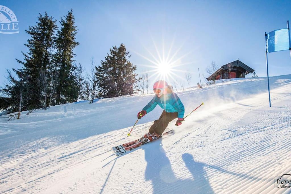 Golsfjellet - Bualie, Milevis Med Sykkelveier, Fiske Og Vannaktivitet, Ski Inn/Ut Til Alpinanlegg Og Langrennsloyper. Εξωτερικό φωτογραφία