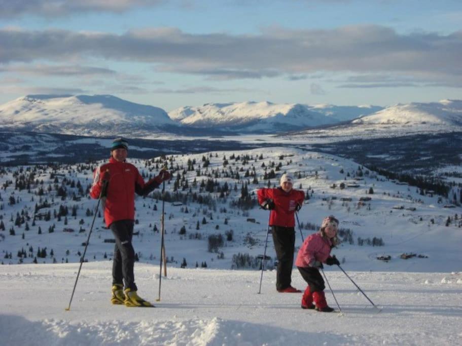 Golsfjellet - Bualie, Milevis Med Sykkelveier, Fiske Og Vannaktivitet, Ski Inn/Ut Til Alpinanlegg Og Langrennsloyper. Εξωτερικό φωτογραφία