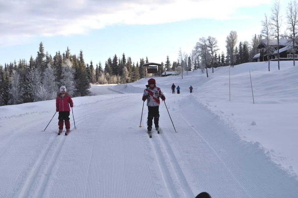 Golsfjellet - Bualie, Milevis Med Sykkelveier, Fiske Og Vannaktivitet, Ski Inn/Ut Til Alpinanlegg Og Langrennsloyper. Εξωτερικό φωτογραφία